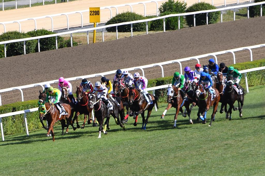 gazi koşusu 7 1561912597 PHOTO 2019 06 30 18 10 05 2 4c9d3