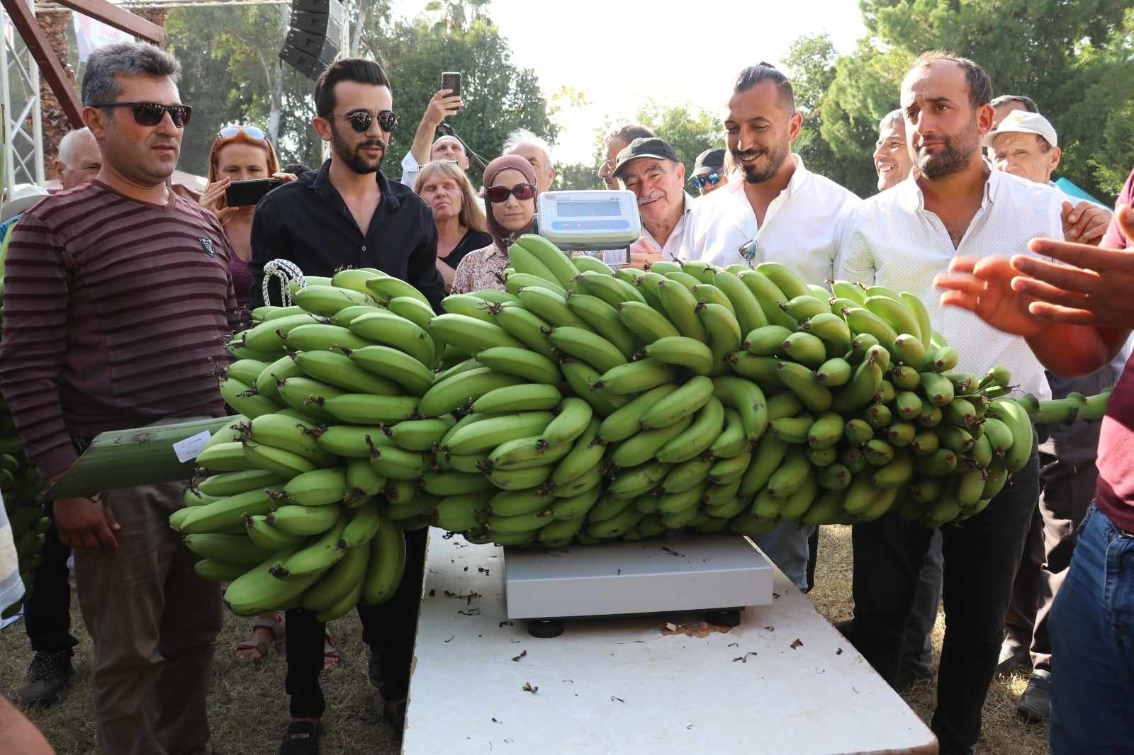 gazipaşa festivali 10 d74f5
