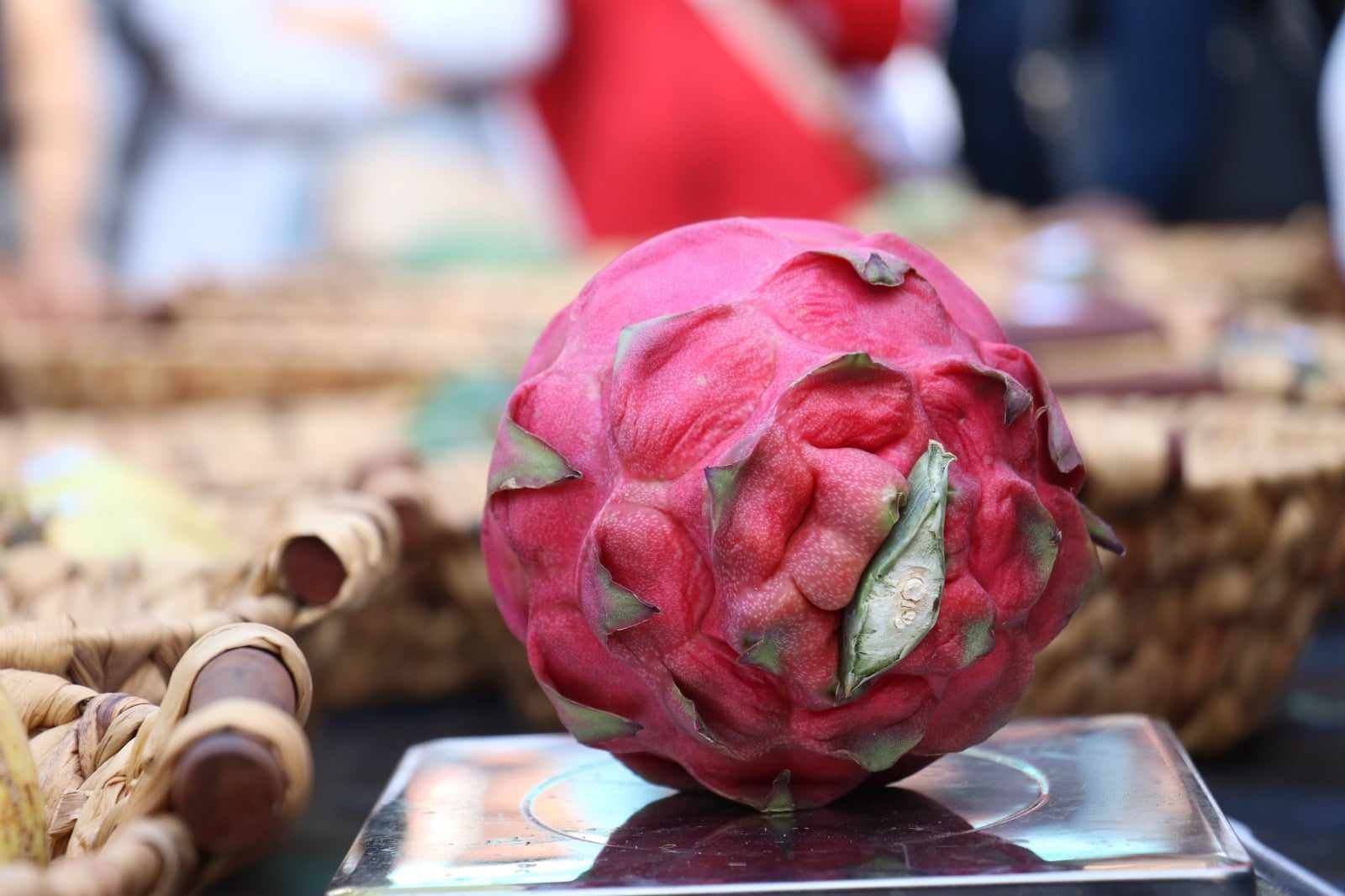 gazipaşa festivali 5 f0925