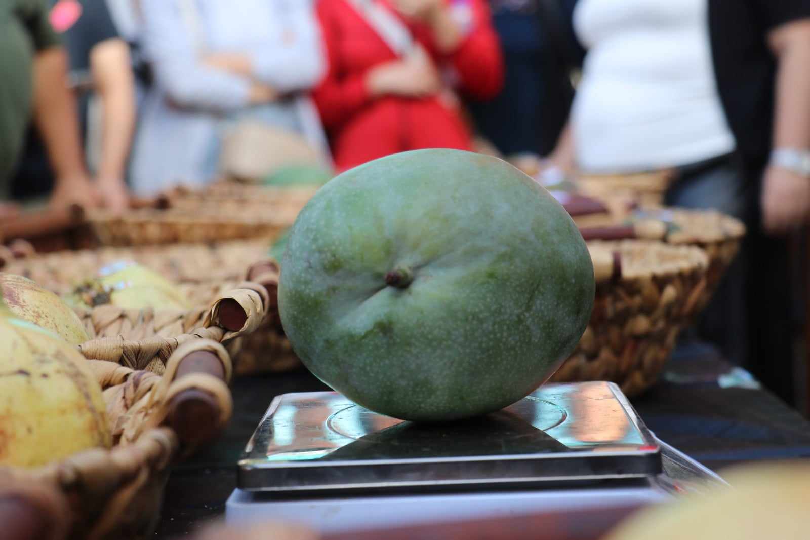 gazipaşa festivali 6 afe58