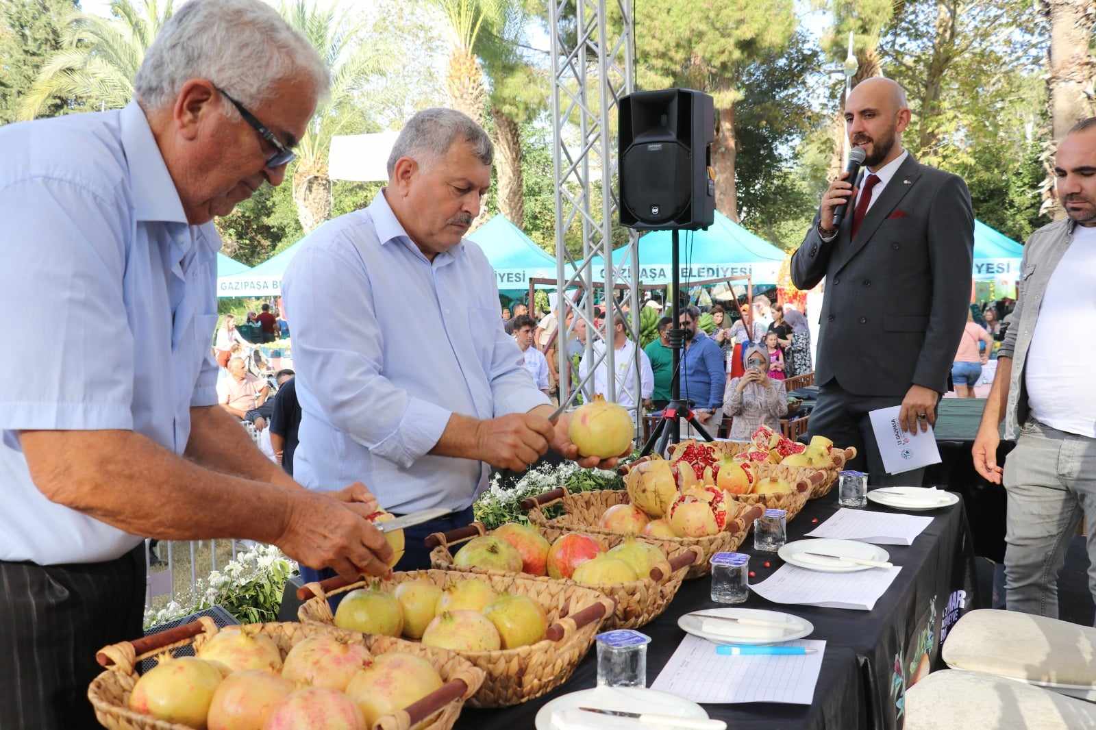 gazipaşa festivali 9 b0a25