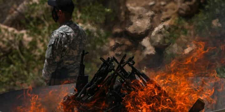 hain 2 516037920 3019175771594330 6759669440827292327 n cdbbd