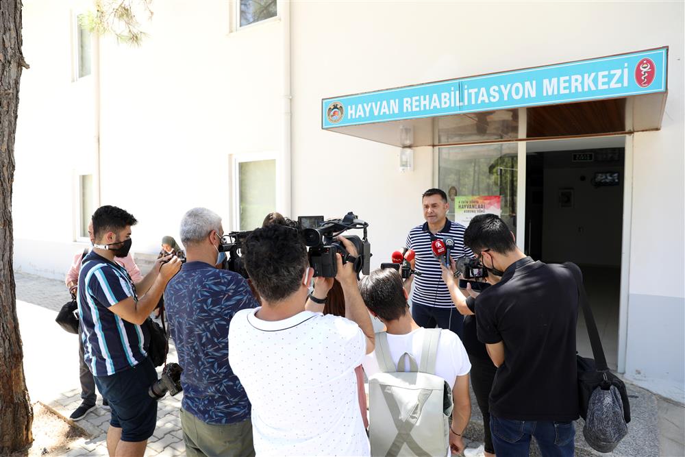 hayvan barınağında açıklama 2 a6054