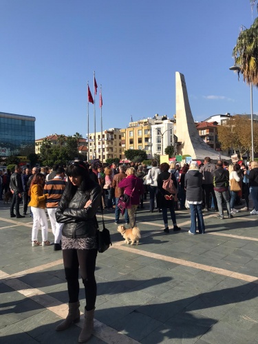 hayvan hakkı 6 a75f7573 75c3 4606 af47 d1a51f929502 4bfec