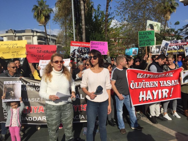 hayvan hakkı ikinci kullan7c95a11c cefe 47df aa13 7499278acce7 27f4d