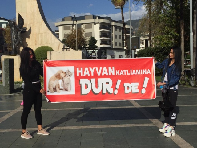 hayvan hakları 3 5841c667 1204 4d04 90cc 40b87ce51516 dafd5