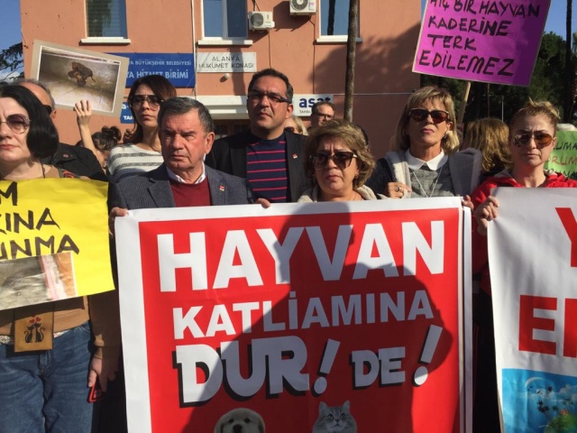 hayvan hakları manşet0cc78398 fc71 4239 b167 8a5ad807d394 33148