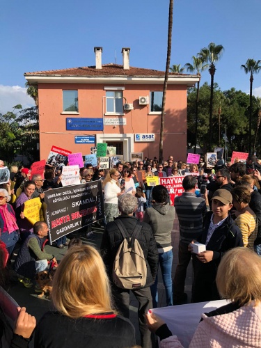 hayvan hakları son5326f1e3 30f9 4959 bd90 73437951aaaf 2ae4e