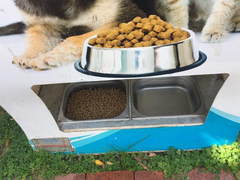 hayvan kutusu 2 734066176651206592 ef01a