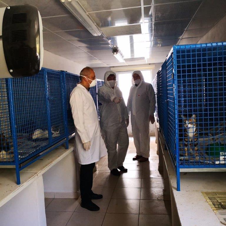 hayvan kutusu 3 252446480647655744 6bdea