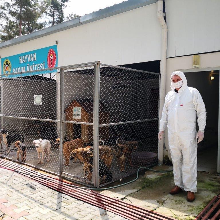 hayvan kutusu 4 679630080416641952 ea12b