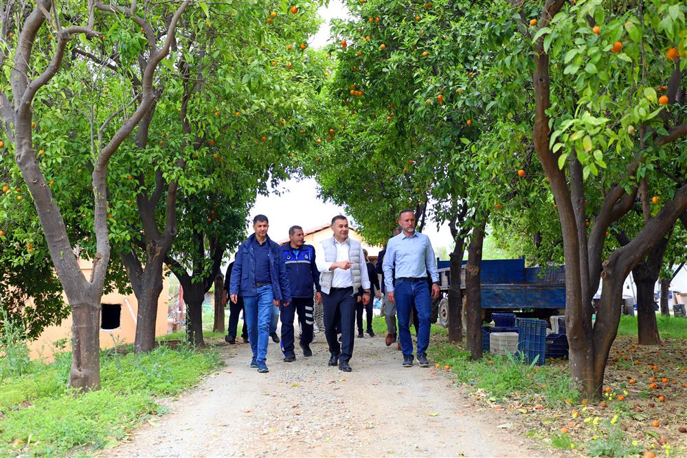 hobi bahçesi 3 c0344