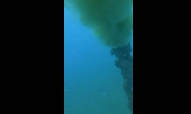 ihanet 7 454620466 1753982698708827 890701570979137678 n 082c7