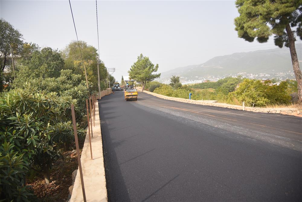 657741696574882176 6d790