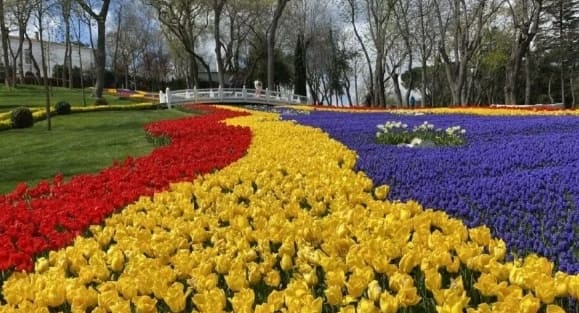 istanbulda laleler 1 a3c59