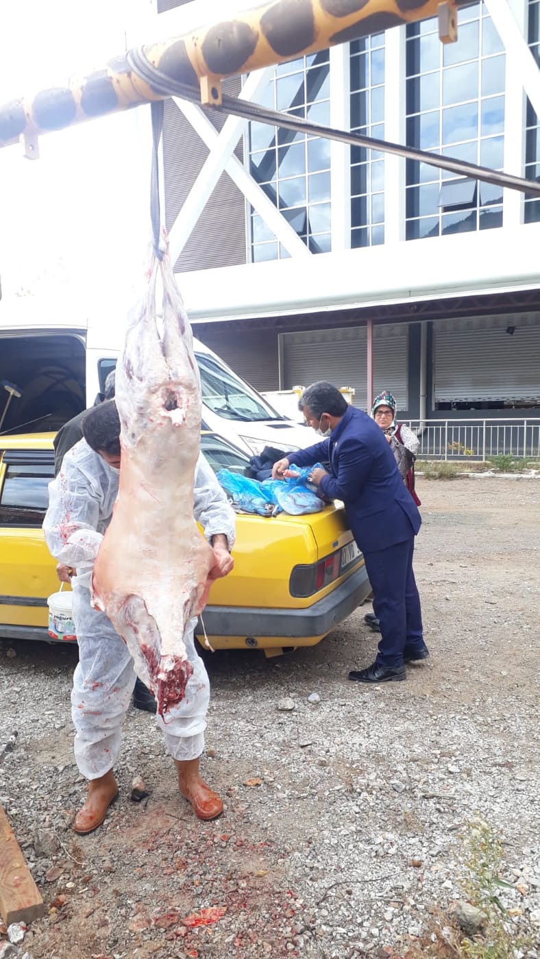 iyi kurban 2 128980329 3812321325469028 1669036960853916839 n 16da5