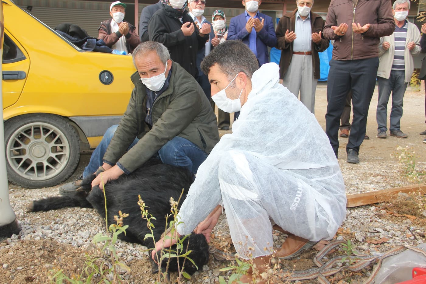 iyi kurban 3 129626783 405330777568704 8020745276985542433 n f40b5