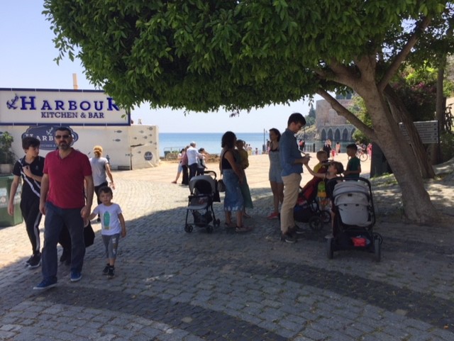 junıor 1 thumbnail IMG 8187 6e2c2