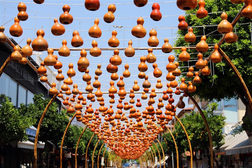 kabak 3 474252640904096960 3d31e