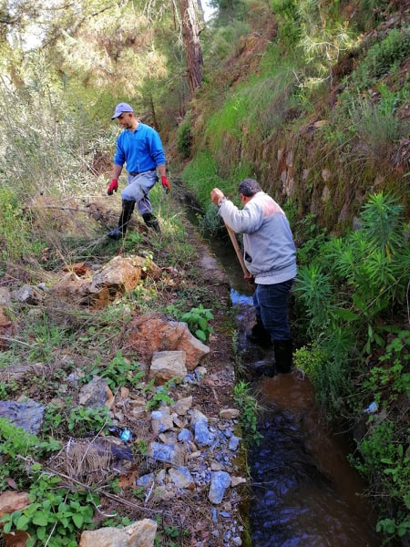 kanal 2 92248853 2650201898601538 2649119691980668928 n ca4a9