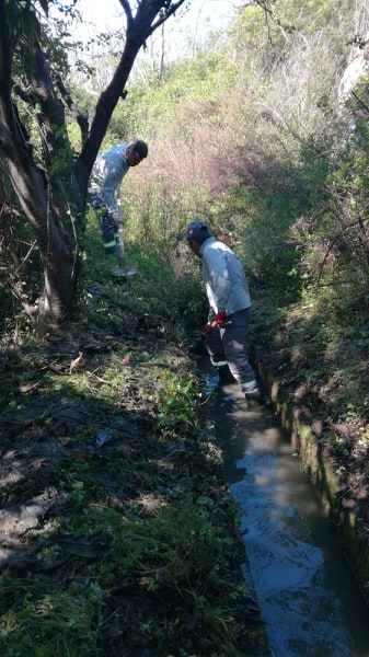 kanal 3 92100457 220922272591514 1840661659798994944 n 142ed