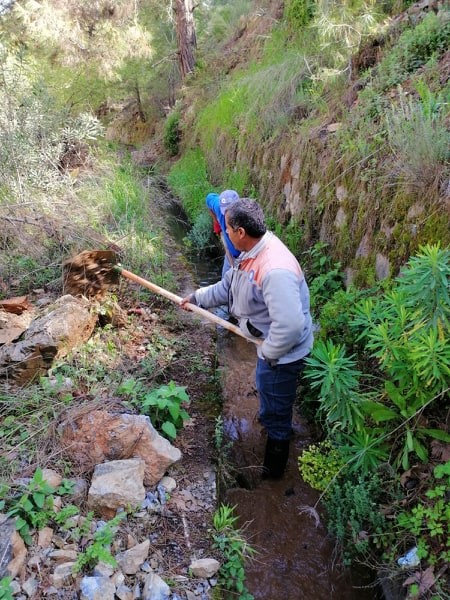 kanal 4 92241146 220554219231271 3789138900081967104 n cd97b