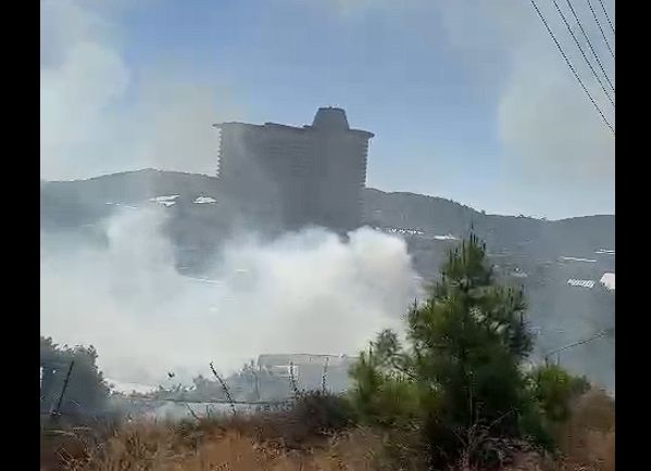 kargıcak yangını 3jpg d0899