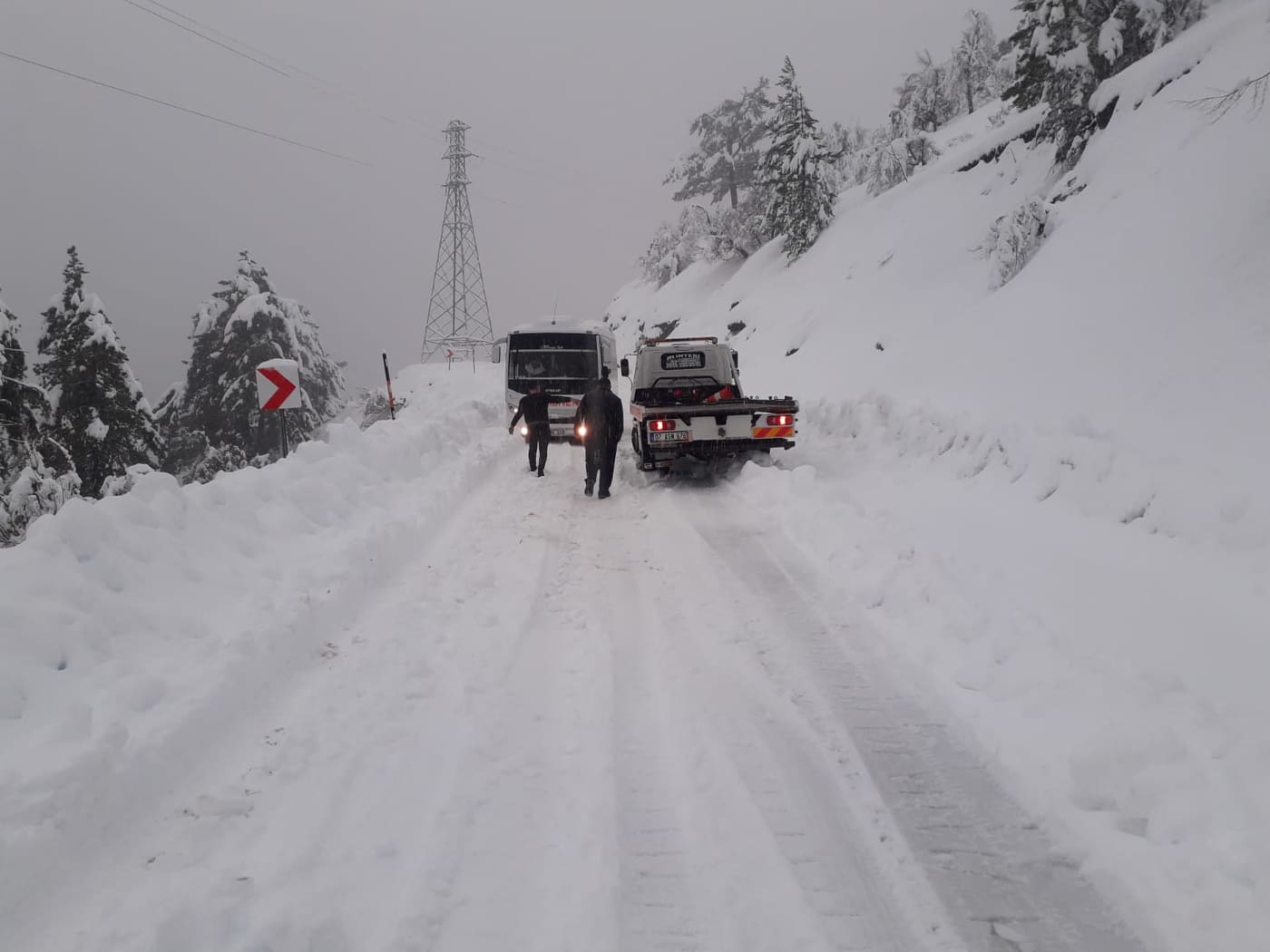 karla mücadele 3 81daa