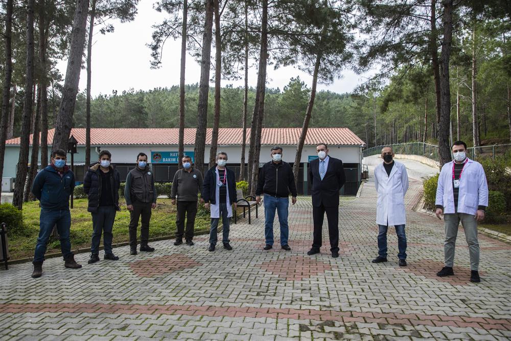 kartal ve doğa 2 37777