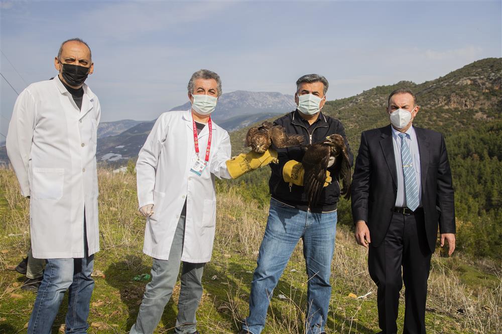 kartal ve doğa 4 7eb1d