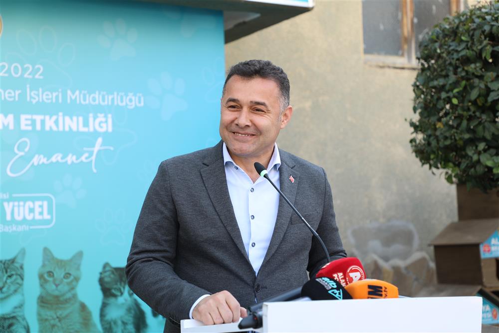 kedi evleri 2 a1902