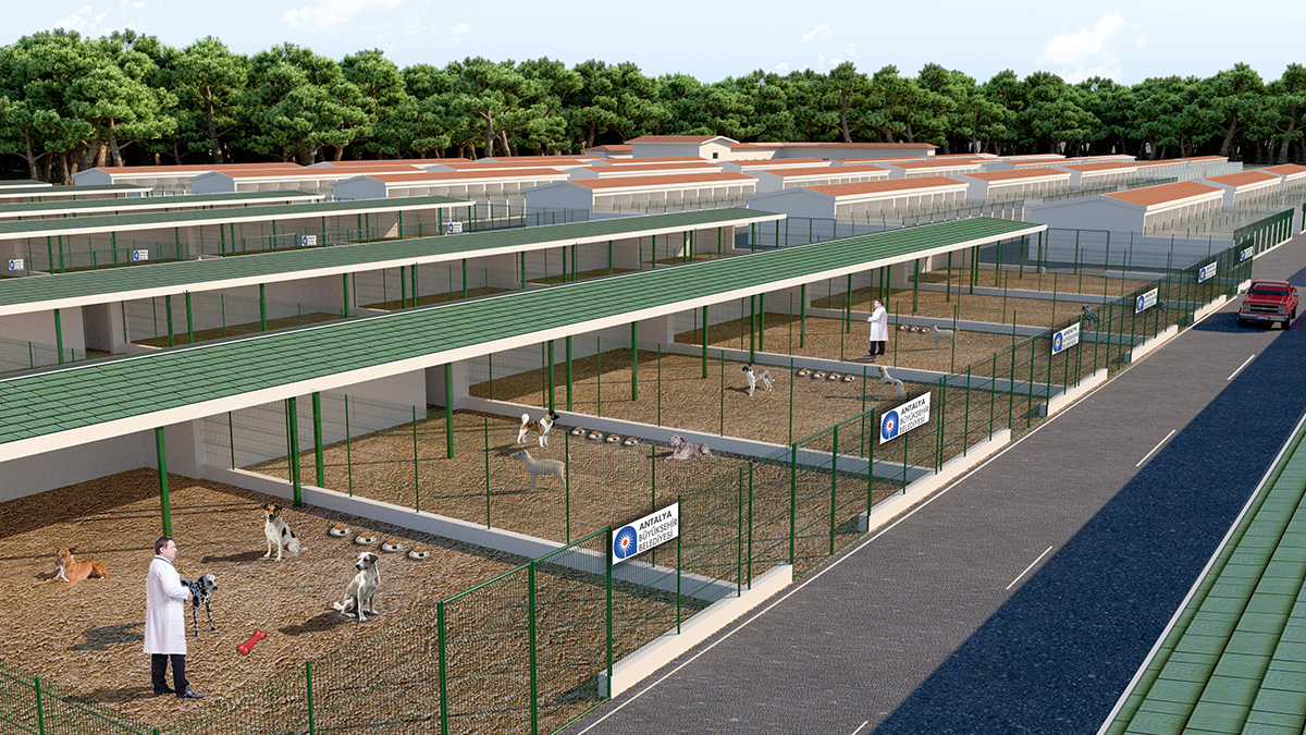 kedievi 2 1320751 4212b