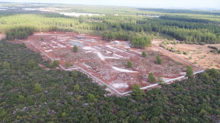 kedievi 3 sokak hayvanlari bakim evi projesinin insasina baslandi 002 b2c5d