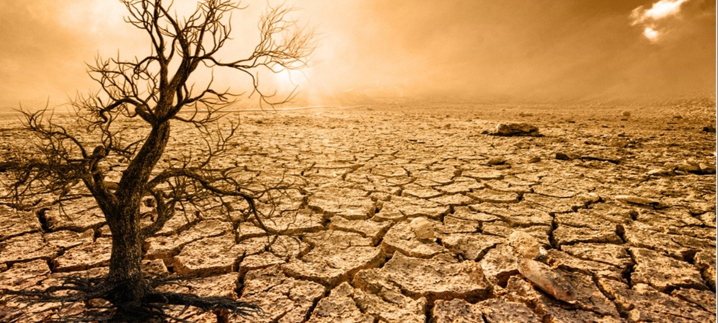 kuraklık tarla 1 c23e2