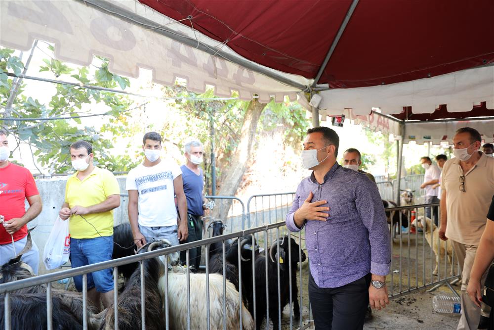 kurbanlık kesim randevu 3 1ddec