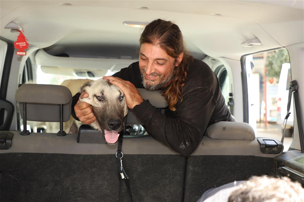 köpeğe sahip 3 43f72