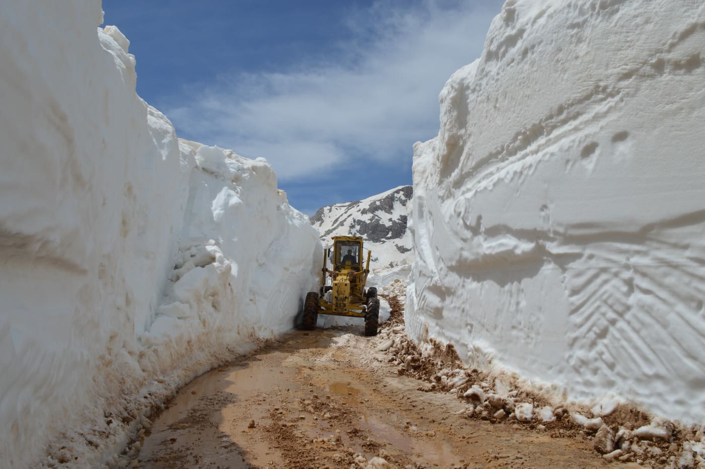 kırsala 46 trılyon 4 2a650