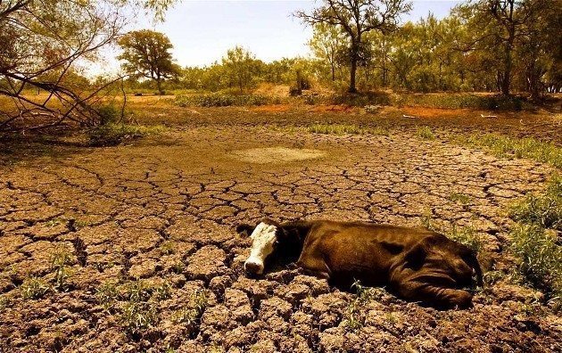 kıtlık yaşanacak 5 turkiye kuraklik kuresel isinma nasa 3 ed6f1