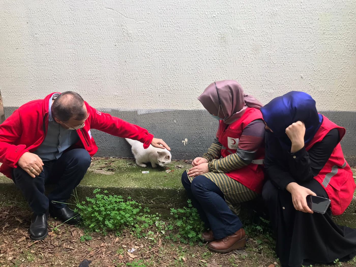 kızılaydan hayvanlara yem 2 3b6a3