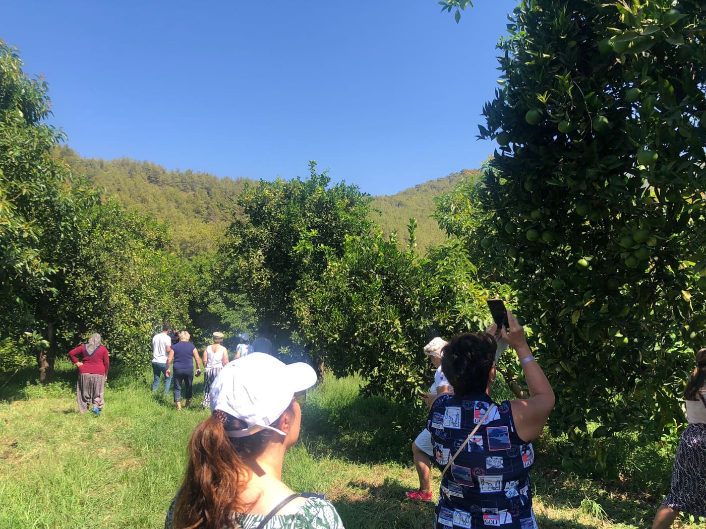 litvan temaslar 2 bahçe 722df