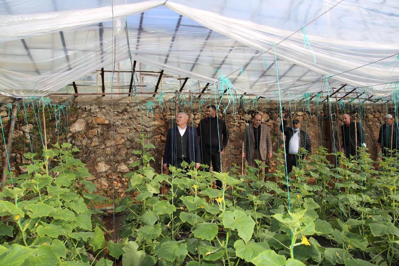 m.şahin seralarda 2 33cb6