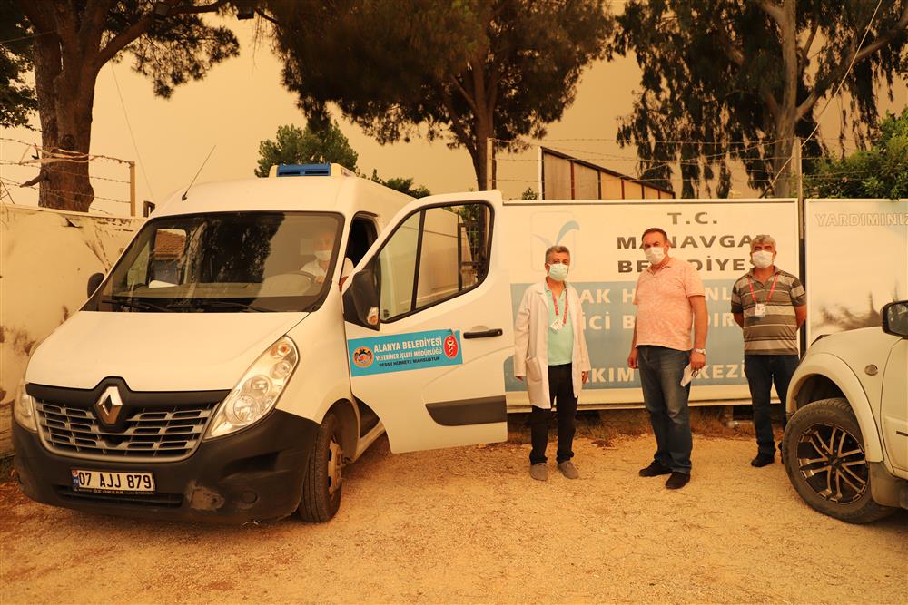 manavgat hayvan barınağı 2 bd3b5