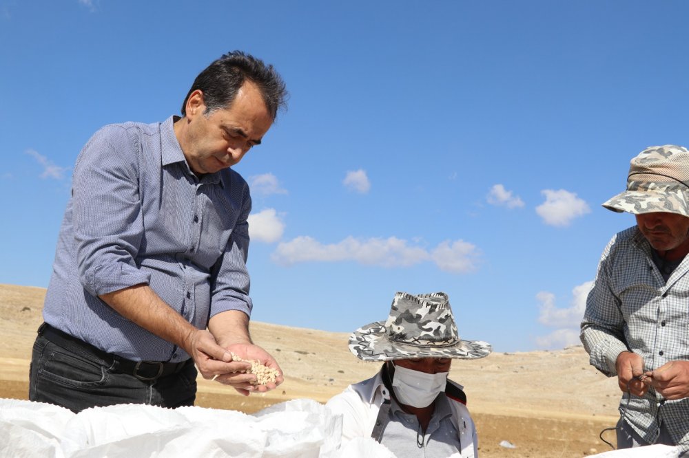 mehmet ali yılmaz 1 71538