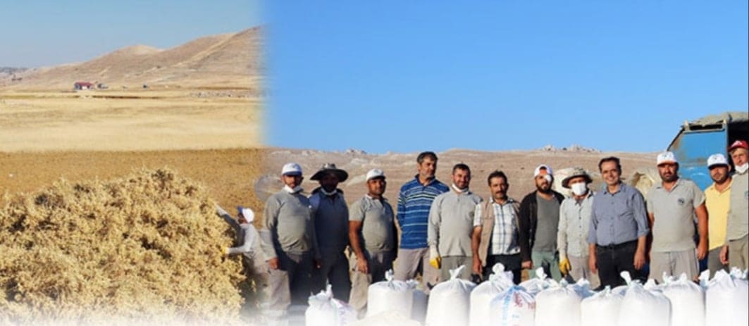 mehmet ali yılmaz 3 49cba