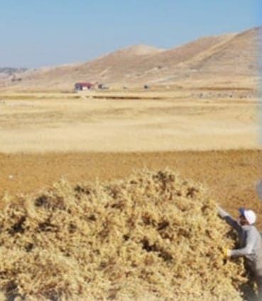 mehmet ali yılmaz 4 c73a6