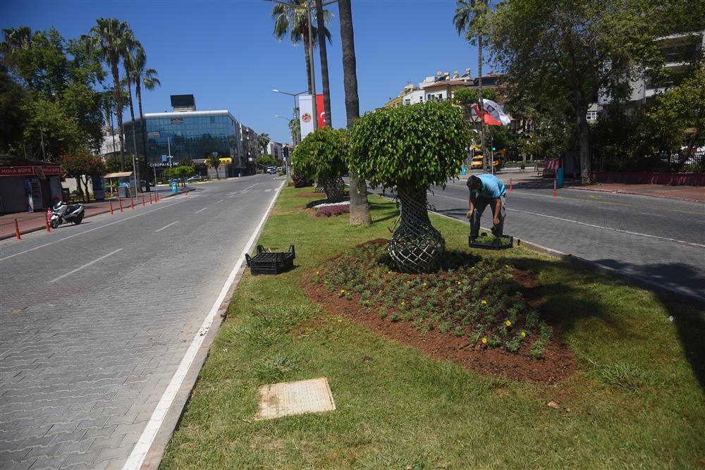 mevsimlik çiçek 2 3a7c4