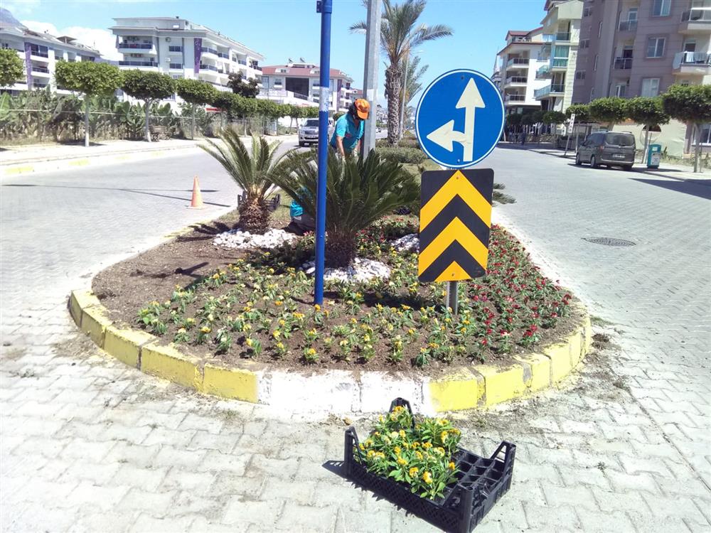 mevsimlik çiçek 3 2a2d0