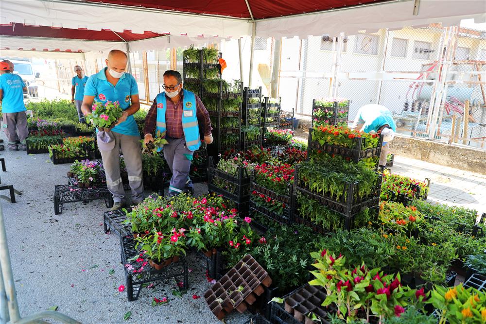 mezarlıkta çiçek 5 608211904379858848 e4850