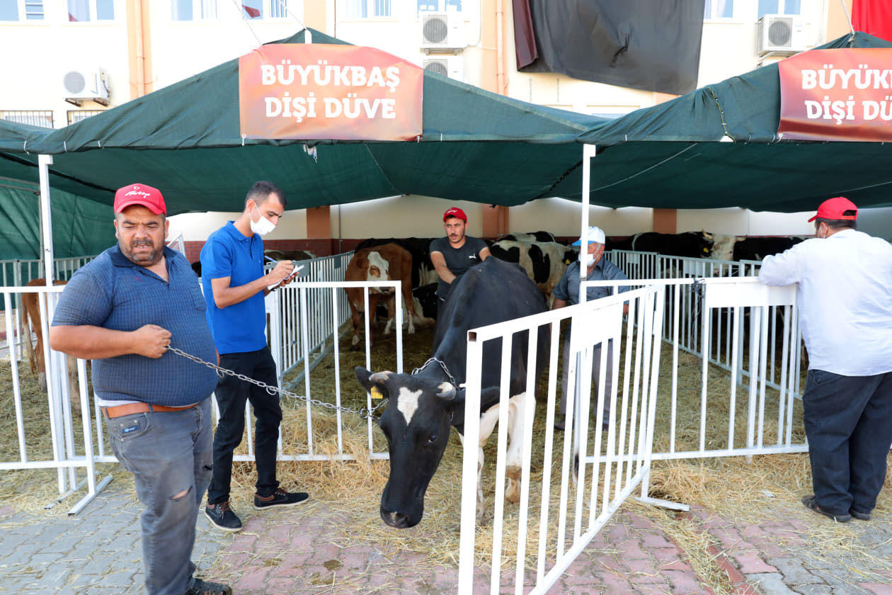 mhpden hayvan desteği 2 62578