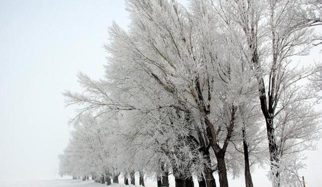 moskova da soğuk 3 930214 cover 9cd9b